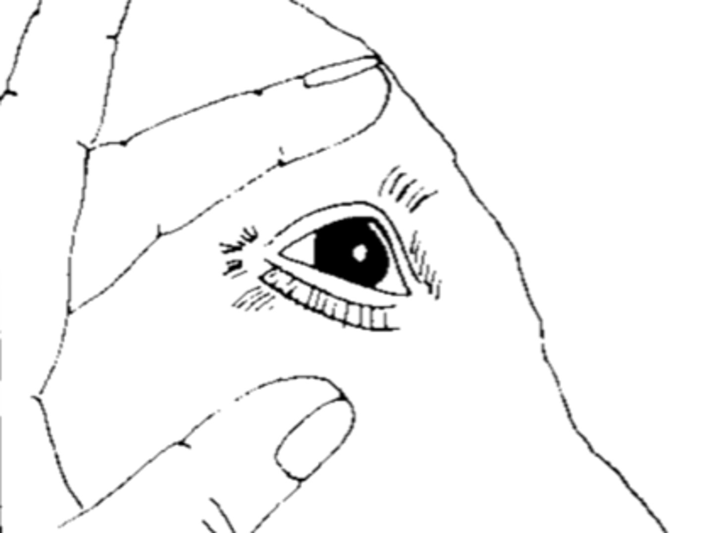 <p>What is the depth?</p>