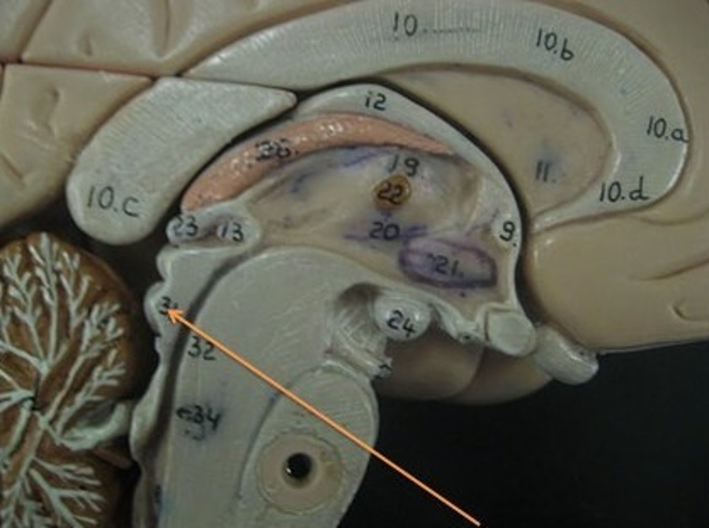 <p>process vision</p>