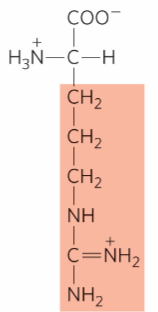 <p>What is this?</p>