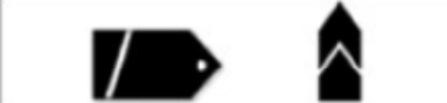 <p>What is this Cadet Rank?</p>