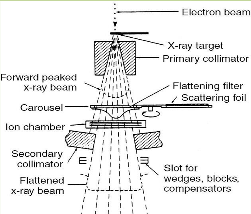 <p>what is the function of collimator jaws (secondary collimators)</p>