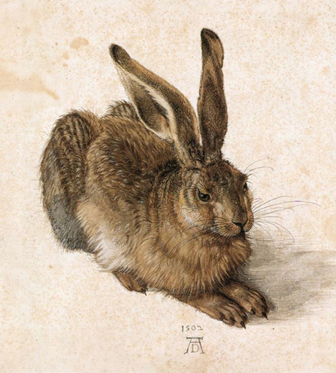 <p>Albrecht Duner</p>