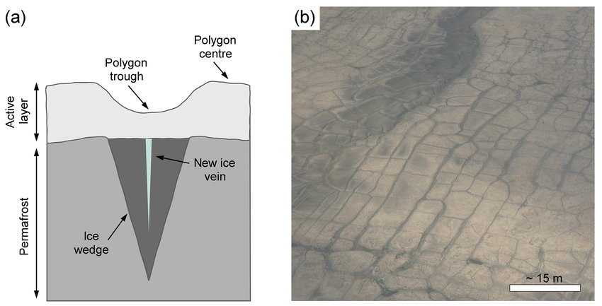 <p>Water gets into a small crack, expands and grows every year with freeze-thaw, forms ice-wedge polygons</p>