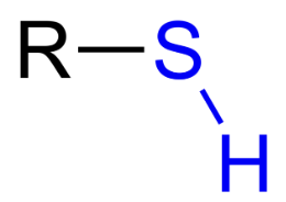 <ul><li><p><span style="background-color: transparent;"><span>ALWAYS has sulfur&nbsp;</span></span></p></li><li><p><span style="background-color: transparent;"><span>Can determine shape of proteins; only found in proteins</span></span></p></li></ul><p></p>