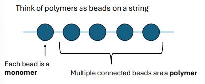 <p>Four main classes of organic molecules:</p>