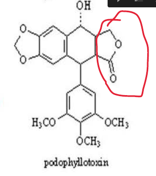 <p>Podophyllin SAR: What structural features are required for anticancer activity?</p>