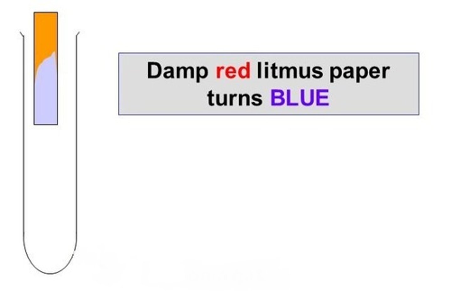 <p>-Add sodium hydroxide (a precipitate will not form)<br><br>-If ammonium ion is present it gives off ammonia gas. To make sure, place a damp piece of red litmus paper on the rim of the test tube. It will turn blue (alkaline)</p>