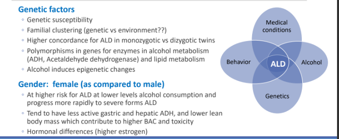 <p>higher estrogen </p>