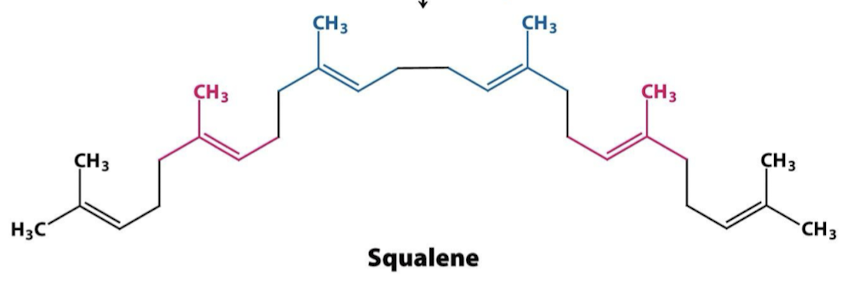 <p>Squalene</p>