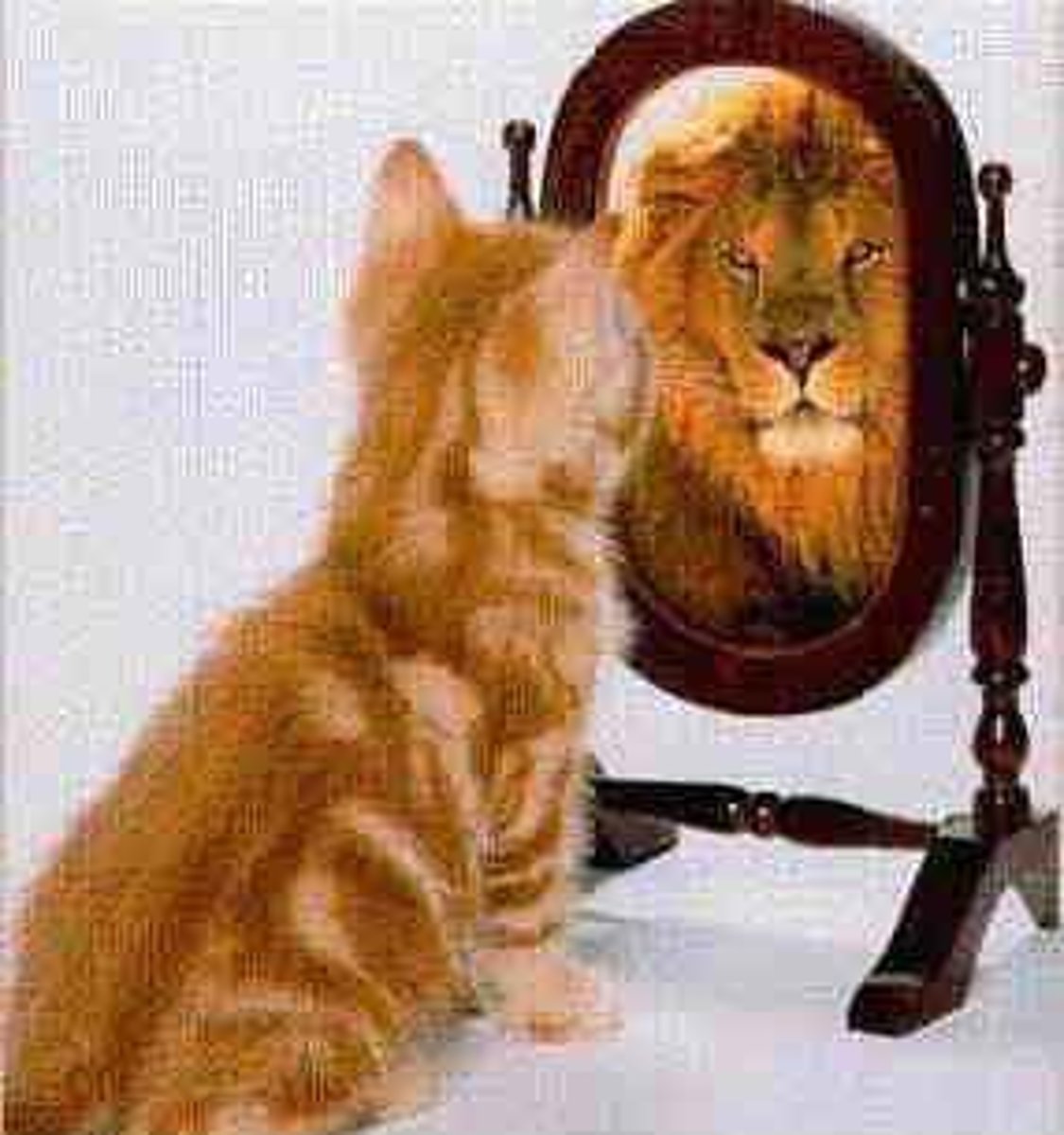 <p>to look at oneself; to watch oneself</p>