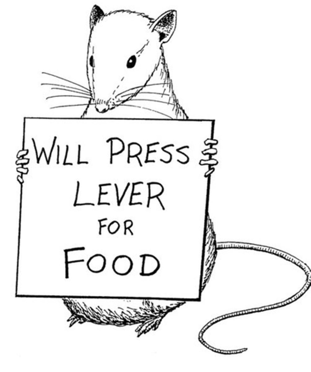 <p>A learning process in which the consequences that follow a behaviour determine the likelihood that the behaviour will be repeated</p>