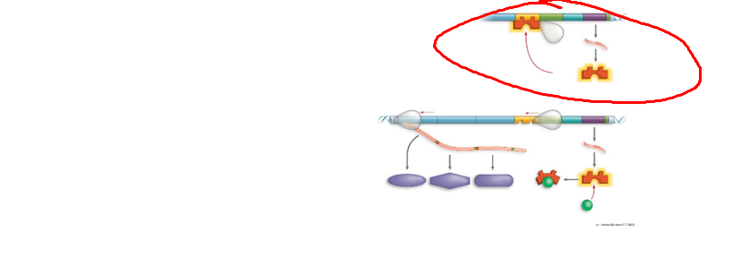 <p>What system + what structure</p>