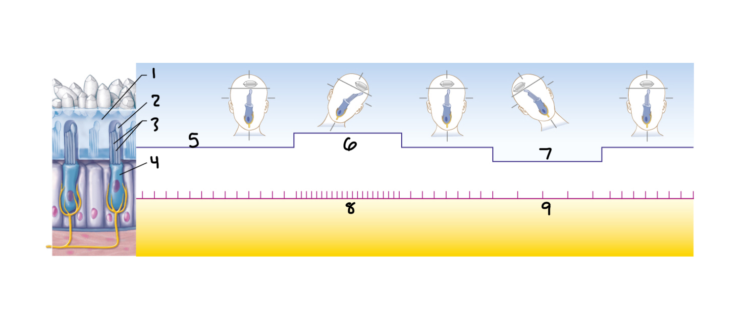 <p>1</p>