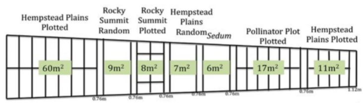 <ul><li><p>Sibyl Levy Golden ‘38 Ecological Learning Center</p></li><li><p>Was an ecological learning center</p></li><li><p>At first houses many plants separately </p></li><li><p>Then native plants took over</p></li></ul><p></p>