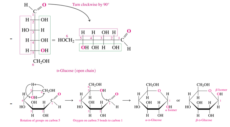 <p> the carbon that was a carbonyl group (C=O) in open structure </p>