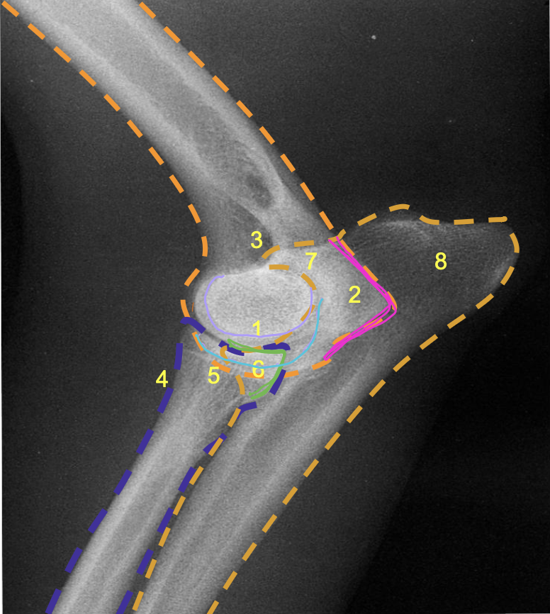 <p>what is the pink line?</p>