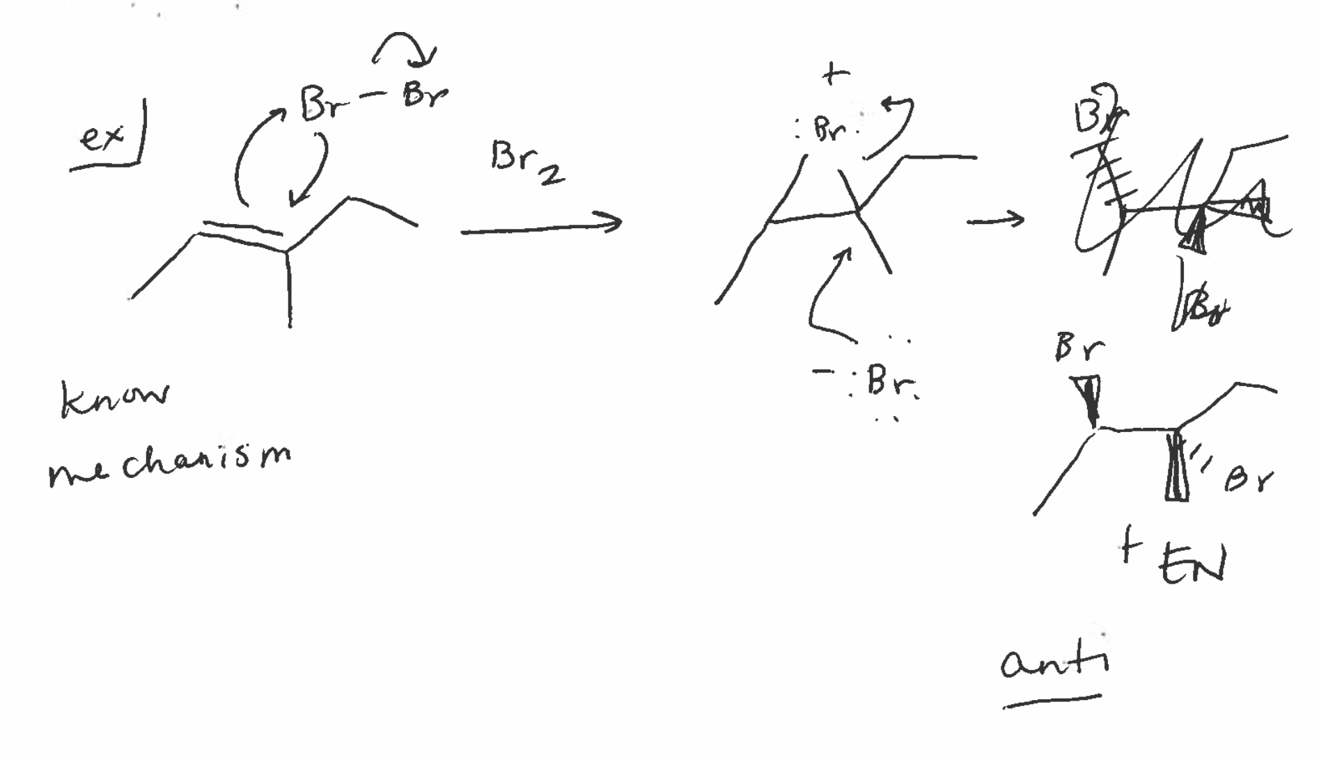<ul><li><p>forms bridge intermediate</p></li><li><p>forms anti products with chiral centers</p></li></ul><p></p>