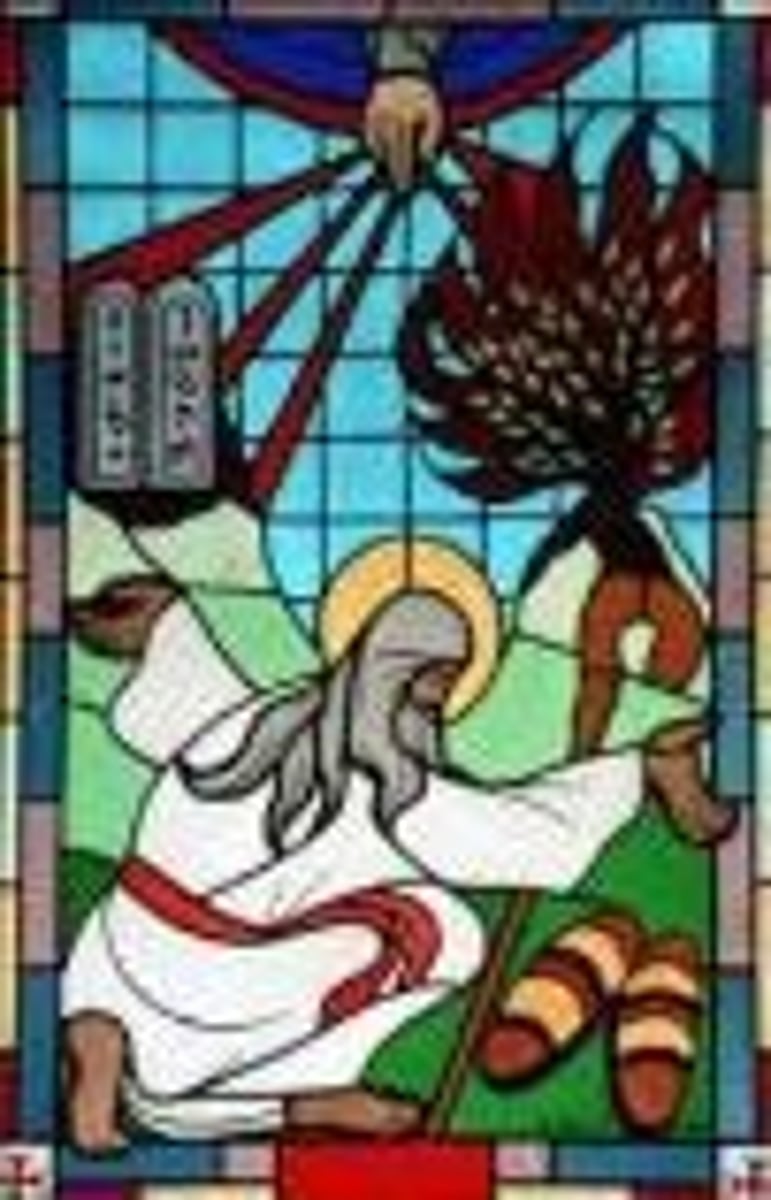 <p>Through a theophany in the form of a burning bush.</p>