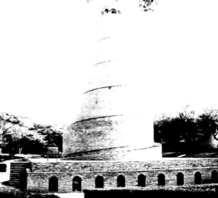 term image