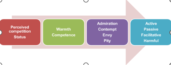 <p>Social psychology theory that posits that stereotypes are based on two fundamental dimensions: warmth and competence</p><p>High warmth, high competence → admiration</p><p>High warmth, low competence → pity</p><p>Low warmth, high competence → envy</p><p>Low warmth, low competence → contempt</p><p>It links perceived competition and status to emotions like admiration, contempt, envy, and pity, which influence behaviour.</p>