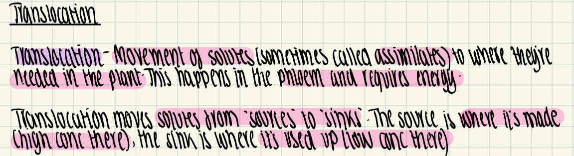knowt flashcard image