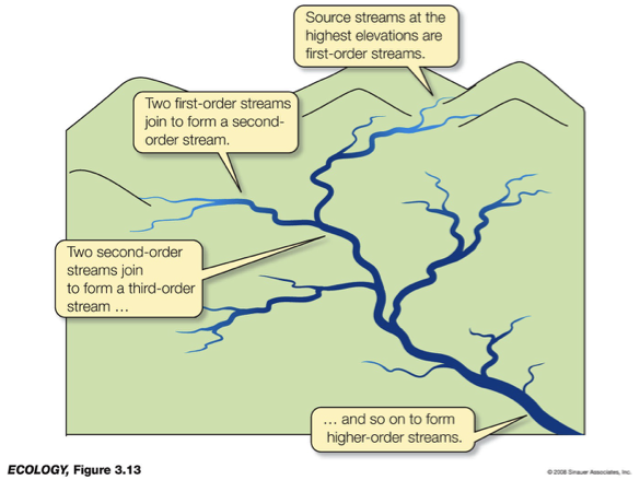 <p>rivers &amp; streams</p>