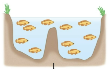 <p>what is allopatric speciation?</p>