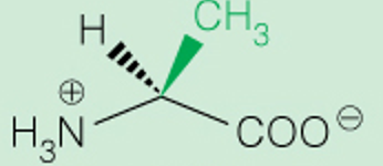 <p>Full</p>