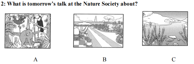 term image
