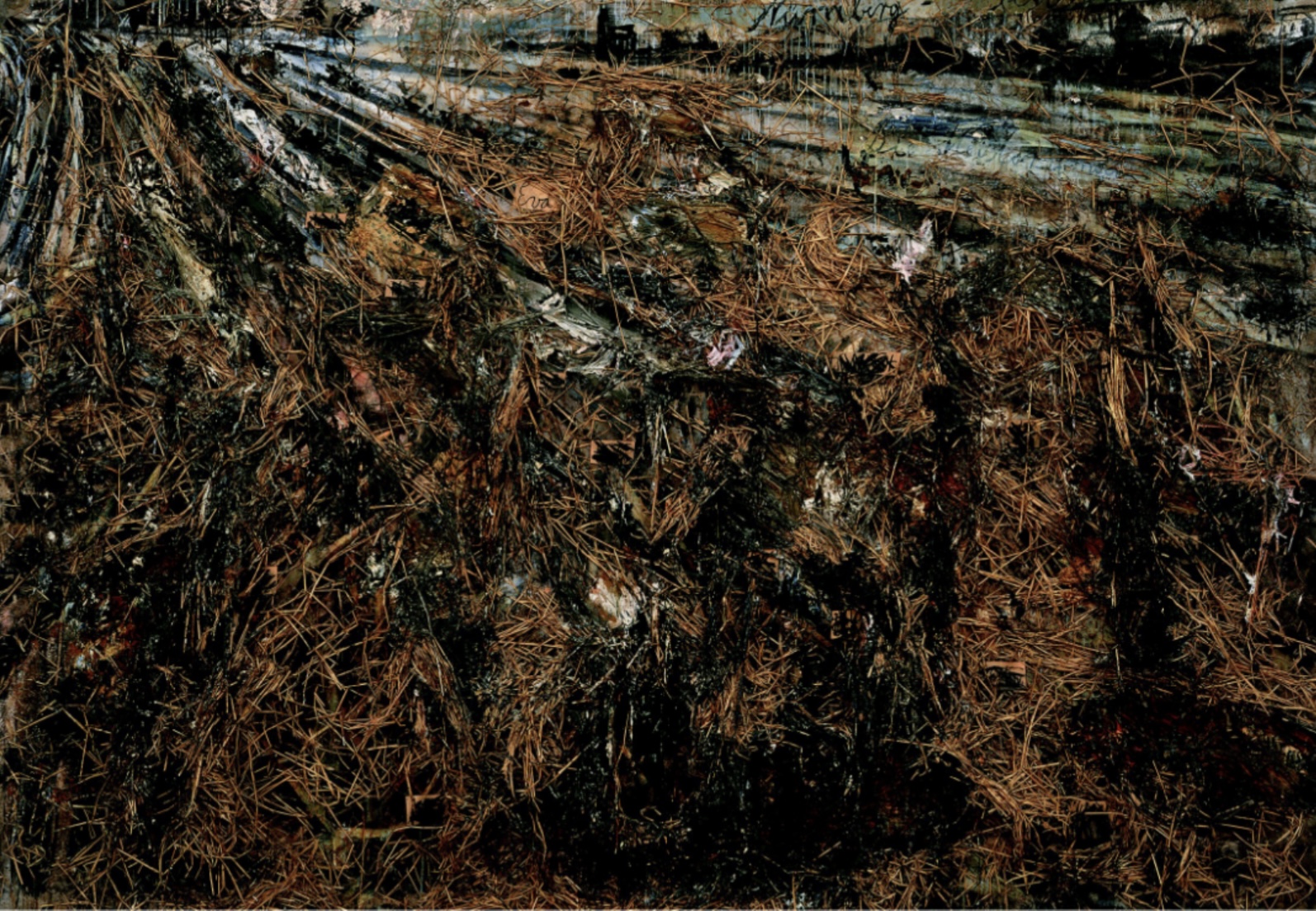 term image