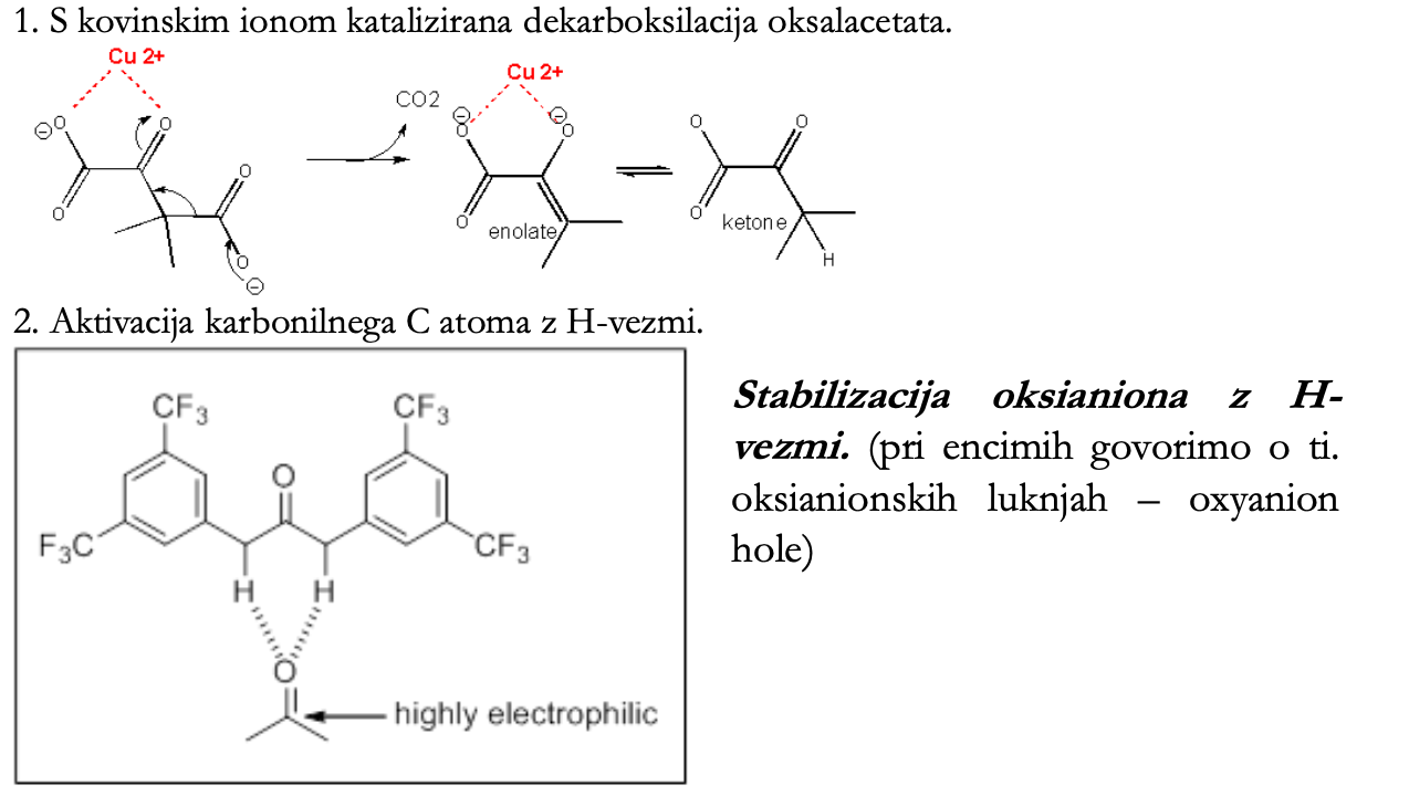 <ul><li><p>kataliza s kovinskimi ioni</p></li><li><p>ustrezno skupino naredimo bolj elektronegativno</p></li><li><p>stabilizacija oksianiona s H-vezmi (pri encimih oksianionske luknje)</p></li><li><p>s kovinskim ionom katalizirana dekarboksilacija oksaloacetata</p></li><li><p>aktivacija karbonilnega C-atoma s H-vezmi</p></li></ul><p></p>