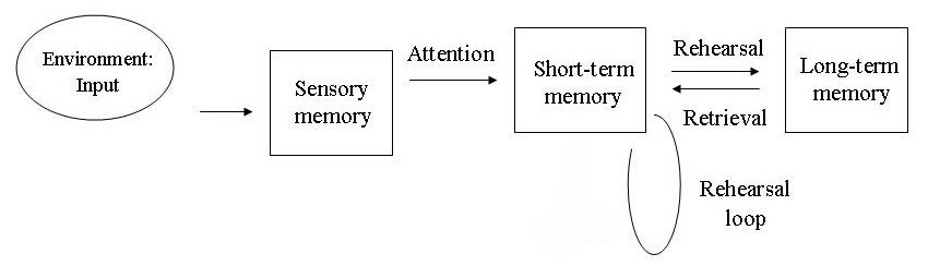 <p>STM, Retrieval, LTM</p>