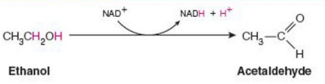 <p>Give Reaction Type and Class</p>