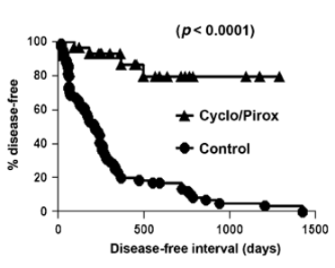 <p>low dose of cytoxan and piroxicam</p><p>improved OST in dogs with macroscopic STS tx with hypofractioned radiation</p>