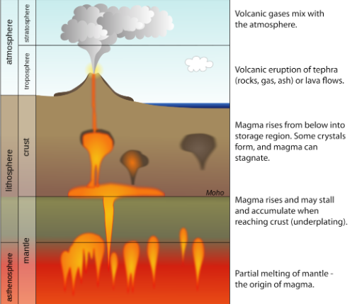 <ul><li><p><span style="background-color: transparent;">rigid outer layer of the geosphere</span></p></li><li><p><span style="background-color: transparent;">all metals, rocks, minerals, soils, landforms, etc. from the upper mantle to the crust</span></p></li><li><p><span style="background-color: transparent;">mostly solid until seismic triggers force magma towards the surface as lava</span></p></li><li><p><span style="background-color: transparent;">magma: hot fluid made up of minerals and elements</span></p></li><li><p><span style="background-color: transparent;">convection currents and tectonic plate shifts cause magma to push up towards the surface</span></p></li></ul><p></p>