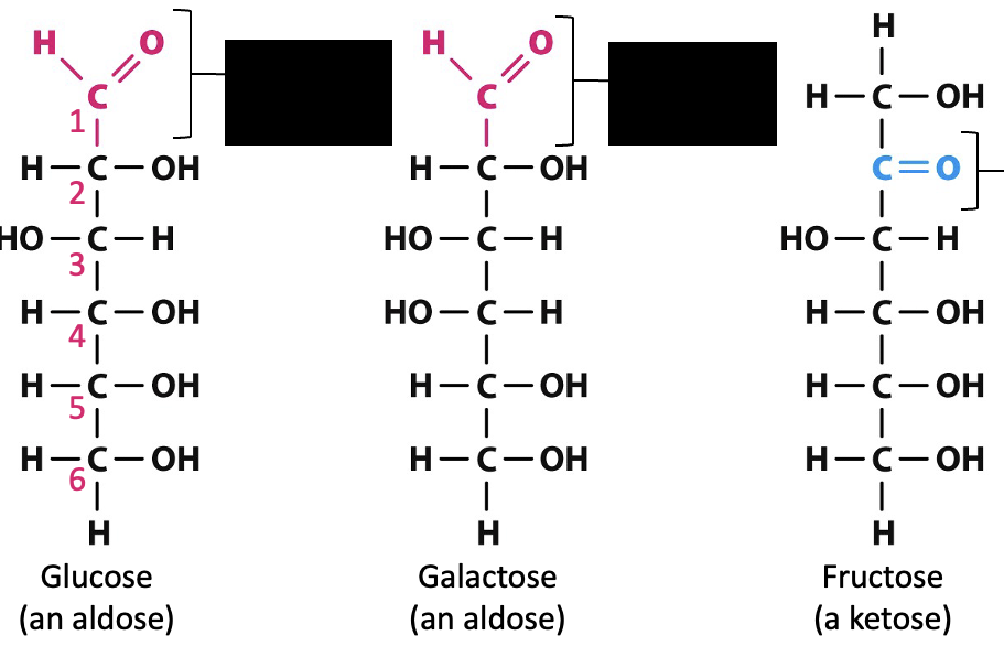 <p>carbohydrates structure </p>