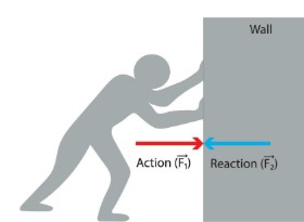 <p>Object 1 applies a force on object 2, object 2 applies a force of the same magnitude but in the opposite direction on object 1. </p>