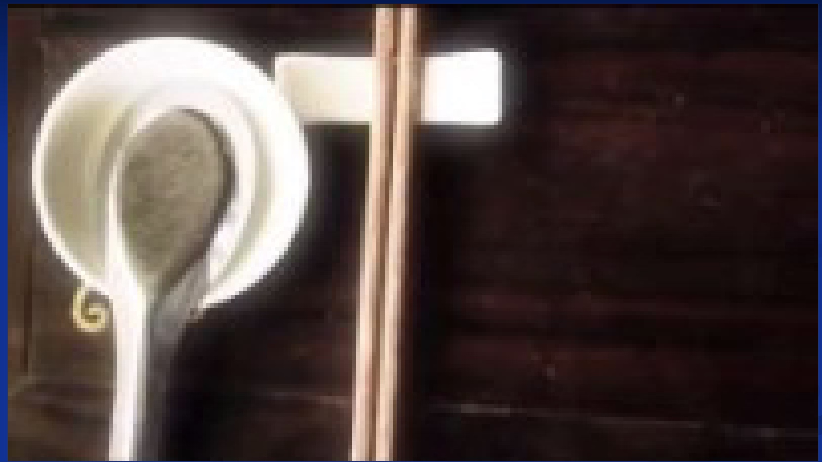 <p>-made of achnovys and sea salt</p><p>-fermented in barrels</p><p>-high in Na+ (essential mineral); individual amino acids → umami experience; vit D?</p><p>-know your foodshed/passed down knowledge</p><p>-makes cooking healthier? Ken says yes bc cooking, enjoyable</p><p><u>Study</u></p><p>-Thiamine deficiency in Cambodia common bc diet high in white rice</p><p>-Study spiked fish sauce w/ thiamine and gave it to the mothers</p><p>-Double blind, RCT, dif groups (ad libium, dif concentrations)</p><p>-Measured mom’s blood levels, breast milk, and the infants blood</p><p>-Results: those who got thiamine had higher levels in the mom’s blood, breastmilk, and infant</p><p>-Example of good research and how can make a difference w/ research</p>