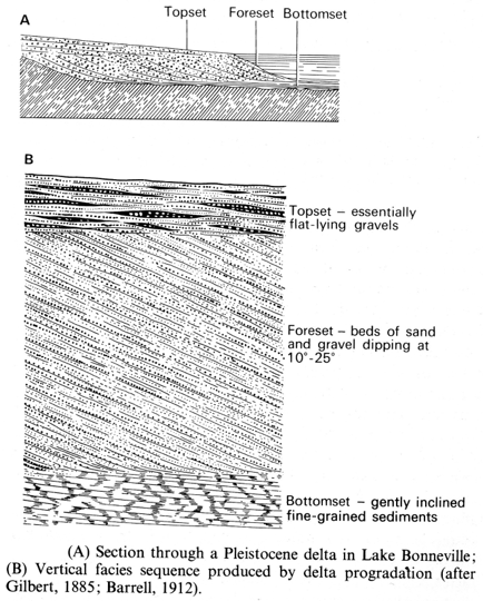 <p>made up of topset, foreset, and bottomset </p>