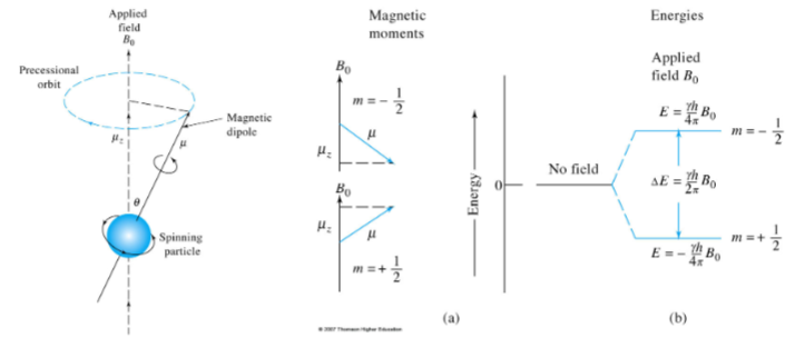 <p><span style="color: rgb(0, 0, 0);">The angular velocity of this motion (ω 0) is related to the applied magnetic field via the magnetogyric, (or gyromagnetic ratio) (γ): ω 0 = γB<sub>0</sub><br>The angular velocity can be converted to the frequency of precession (ν0) known as the Larmor frequency by diving by 2 π: ν<sub>0</sub> = γ 𝑩<sub>0</sub>/𝟐𝝅<br>Note this is the identical equation as the quantum mechanical description of NMR.</span></p>