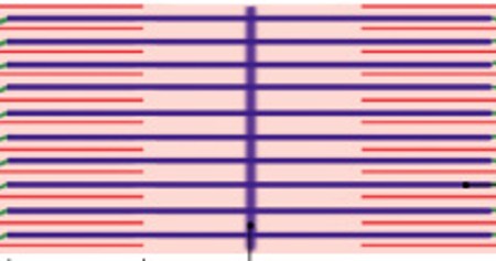 <p>Which part of the sarcomere is:</p><ul><li><p>The center of sarcomere, equals length of thick filament</p></li></ul><p></p>
