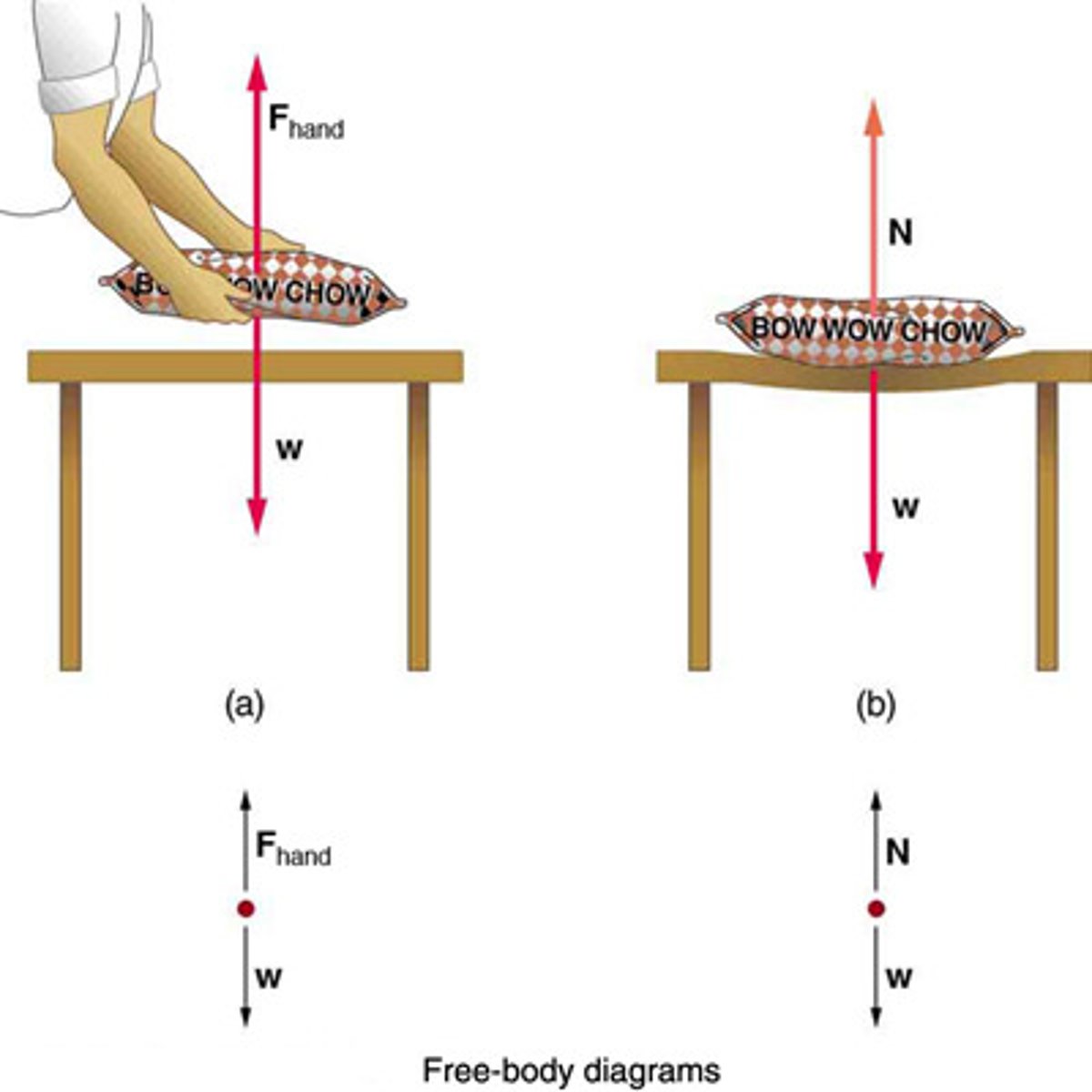 <p>A force that acts perpendicular to the surface of contact between an object and its support, counteracting the object's weight.</p>