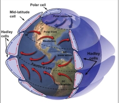 <ul><li><p>air within a cell <strong>does not</strong> move in a straight north-south direction</p></li></ul><p><strong>Coriolis </strong>Effect causes air to be deflected in a&nbsp;<strong>clockwise </strong>pattern around the globe in the Northern Hemisphere</p><ul><li><p>accounts for differences in directions of <strong>winds </strong>and <strong>ocean </strong>currents at different latitudes (water is cold in beach at CA)</p></li></ul><p></p>