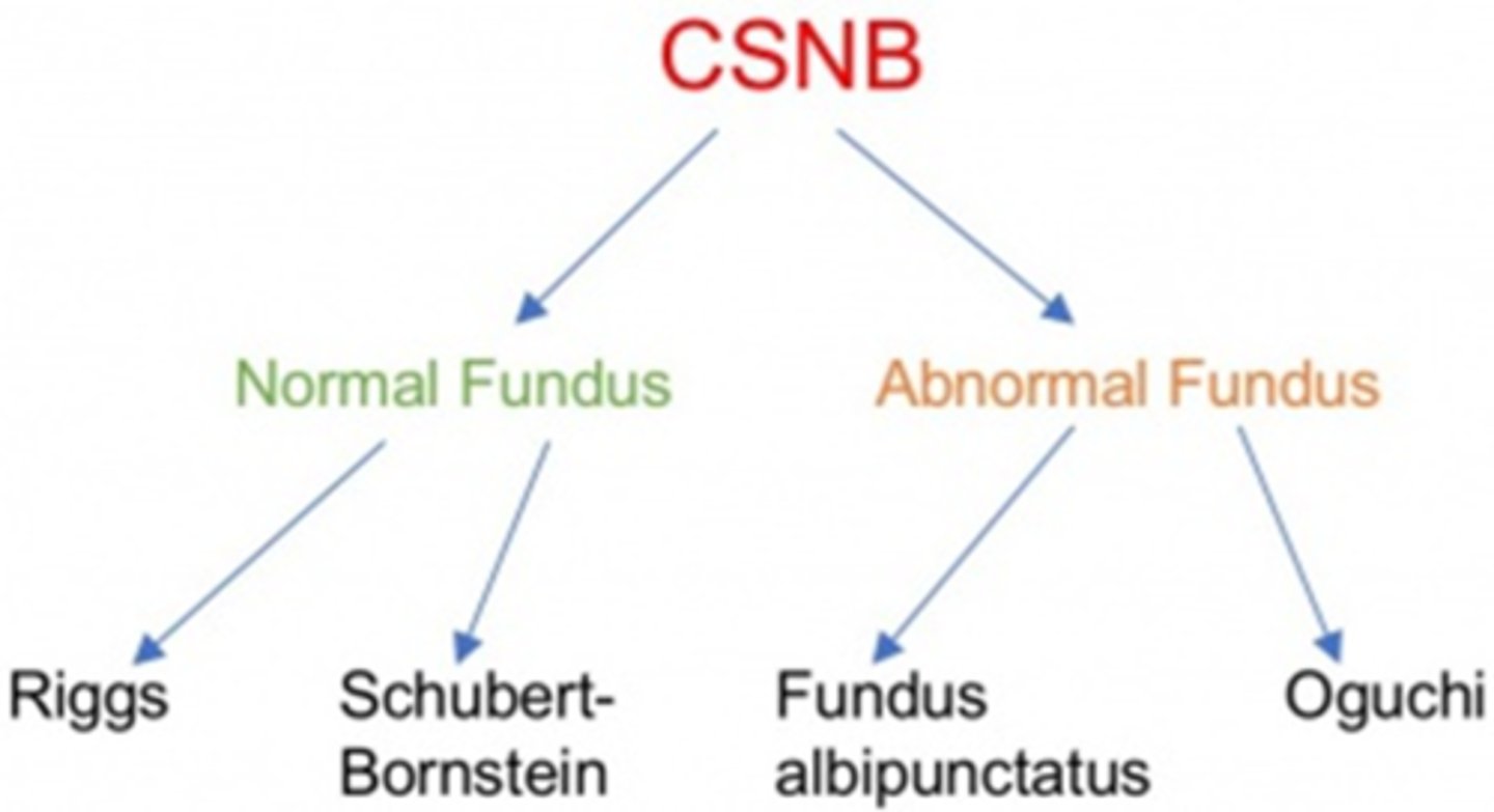 <p>What is <strong>congenital stationary night blindness</strong>?</p>