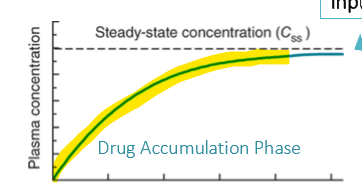 <ul><li><p>a gradual buildup of drug concentrations with continuous or successive doses.</p></li><li><p>the whole time leading up to steady state concentration is know as the drug accumulation phase</p></li></ul><p></p>