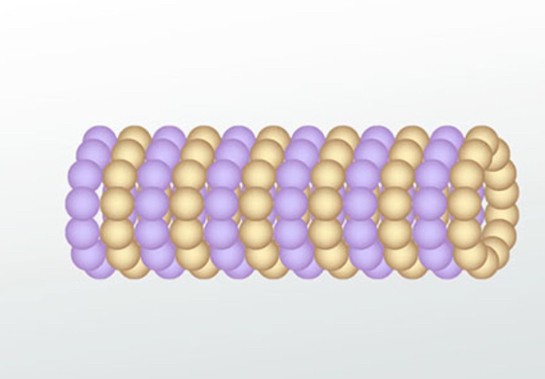 <p>Microtubules</p>