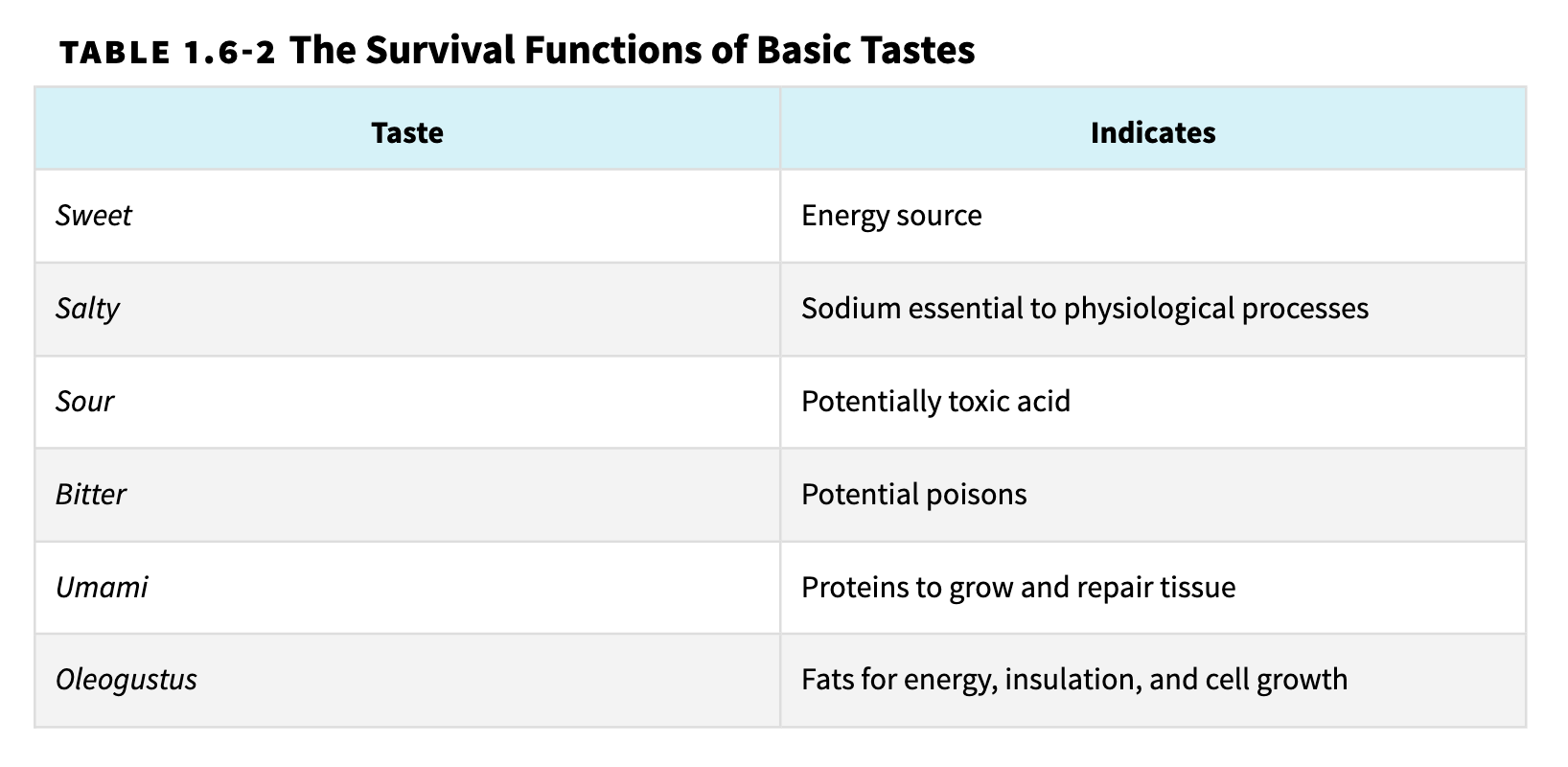 <p>sense of taste</p>