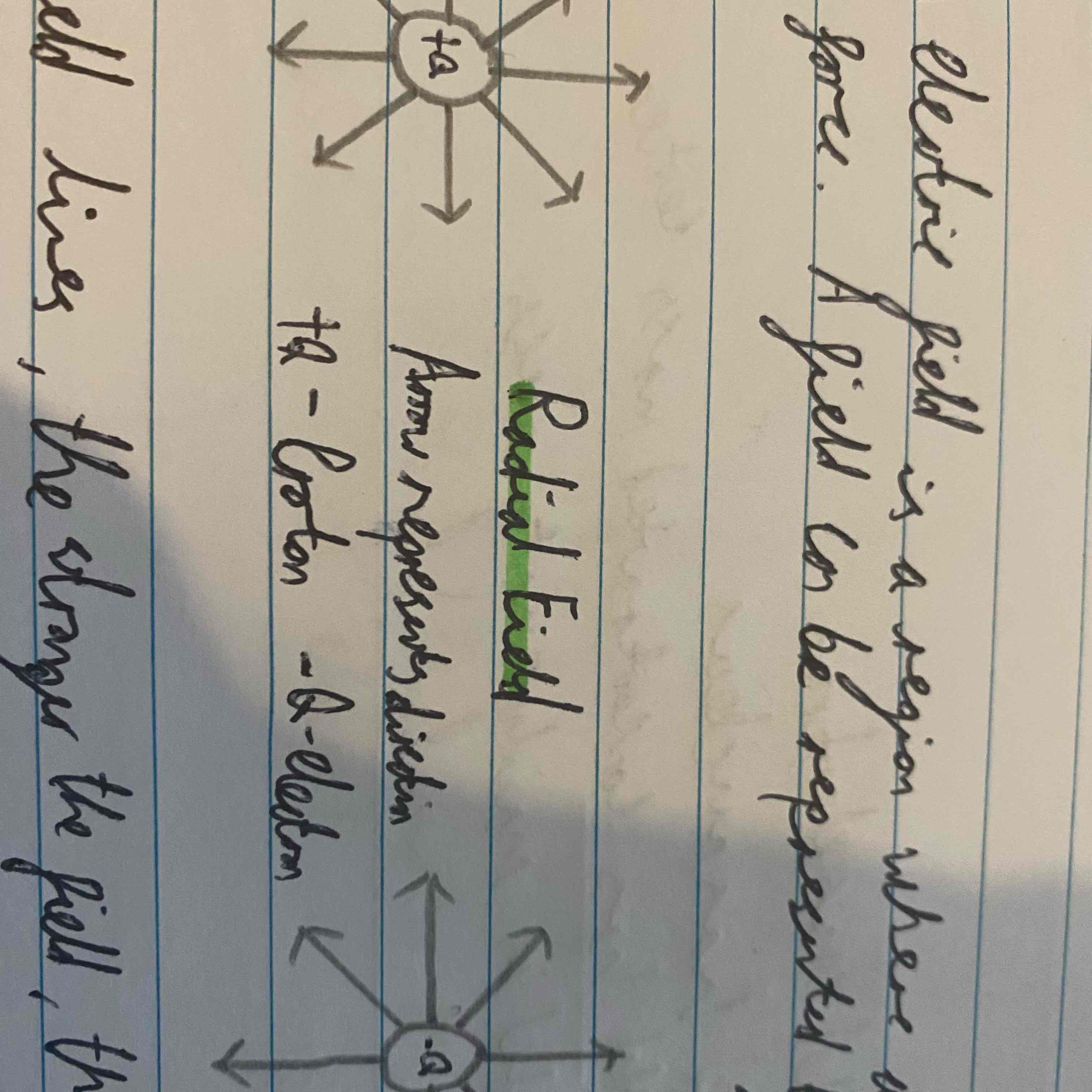 <p>What are two types of fields?</p>