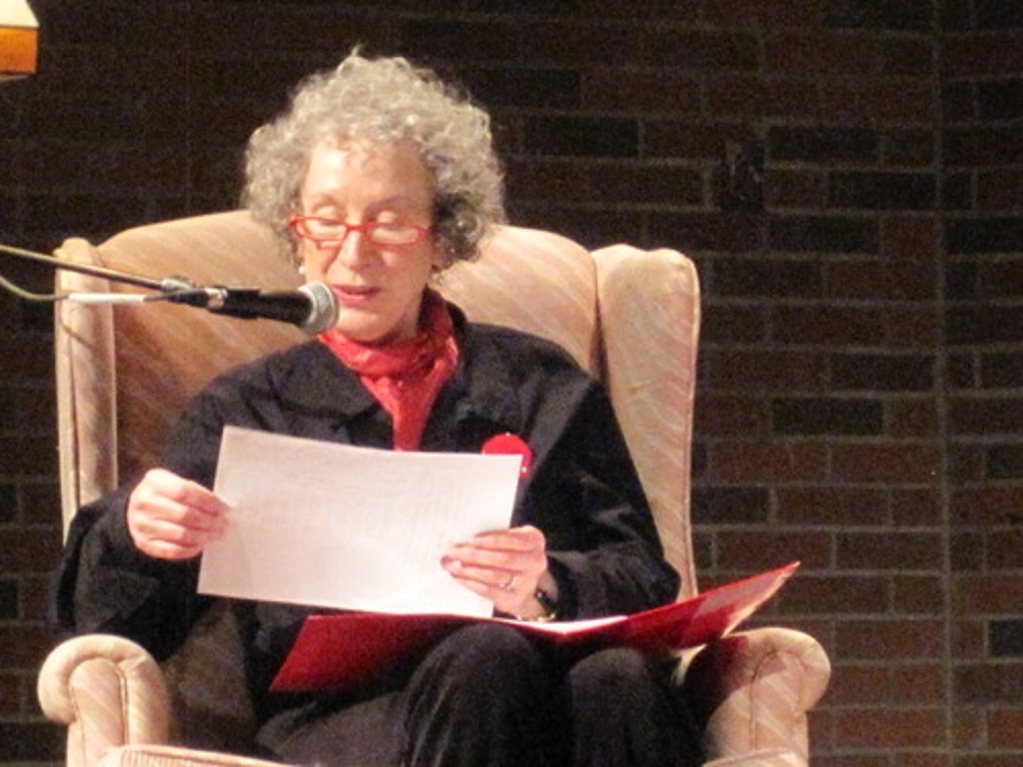 <p>Person telling the story</p>