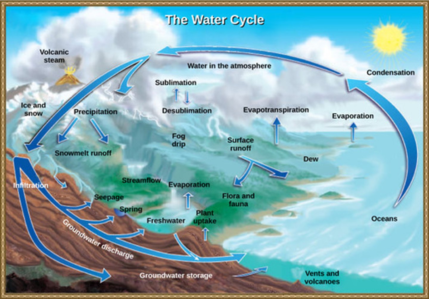 <p>1. oceans</p><p>2. air (water vapor)</p><p>3. ground water</p><p>4. glaciers</p>